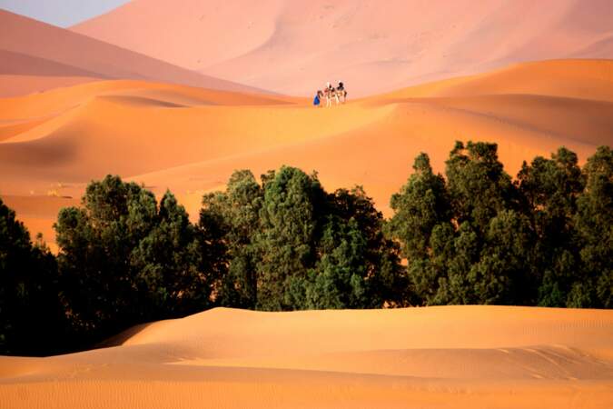 Echappée à dos de dromadaires dans les dunes de sable rouge de l'Erg Chebbi, au Maroc