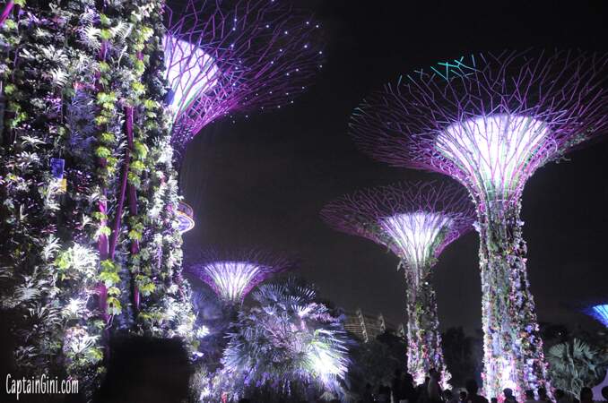 Singapour by night, on adore !