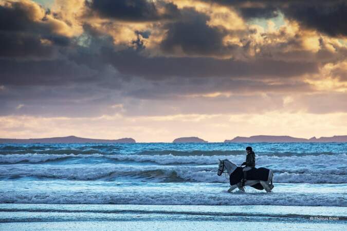 A dos de cheval dans le parc national côtier du Pembrokeshire