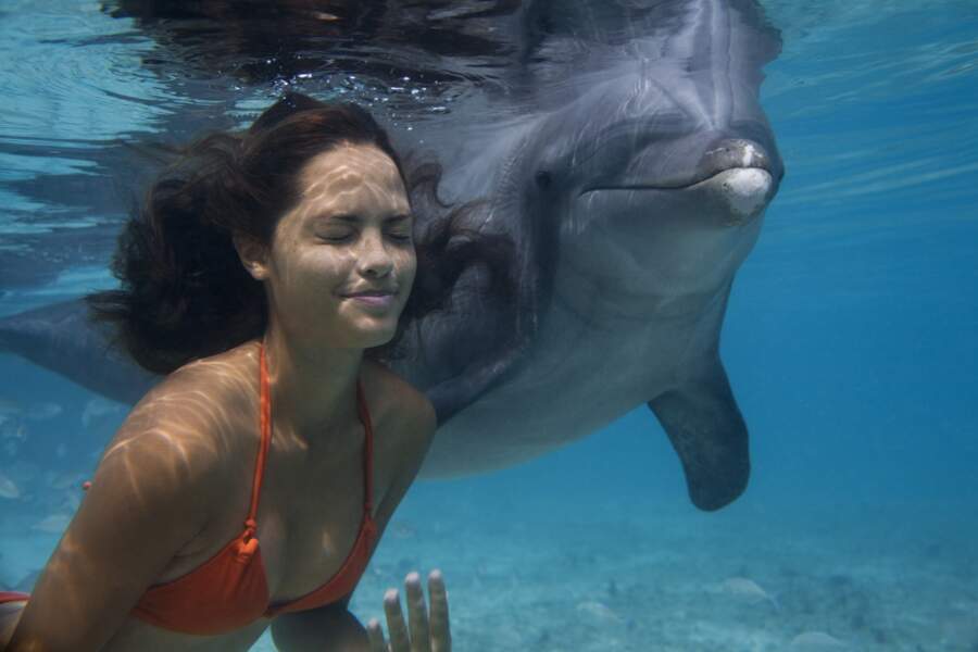 Danser avec les dauphins