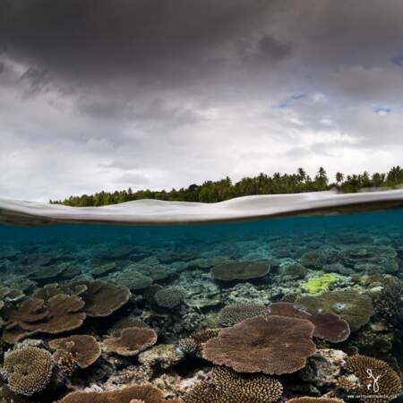 Récif corallien d'Australie