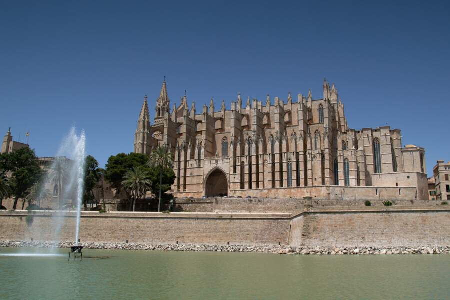 Contempler la cathédrale de Palma de Majorque