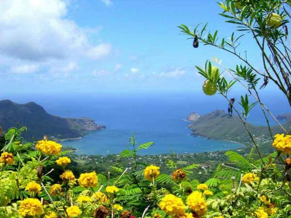 Diaporama n°7 : Sur les hauteurs des îles Marquises 