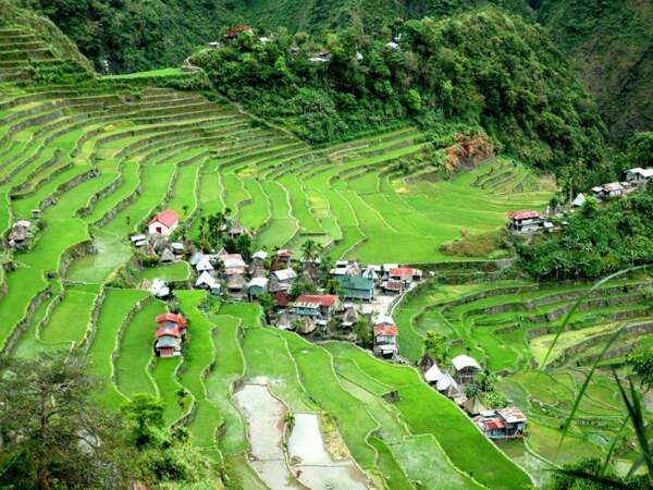 Diaporama n°11 : Philippines : les vertes rizières de la province d’Ifugao 