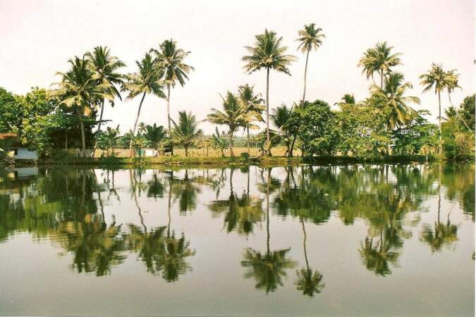 Photo prise au Kerala (Inde) par le GEOnaute : EricBubu