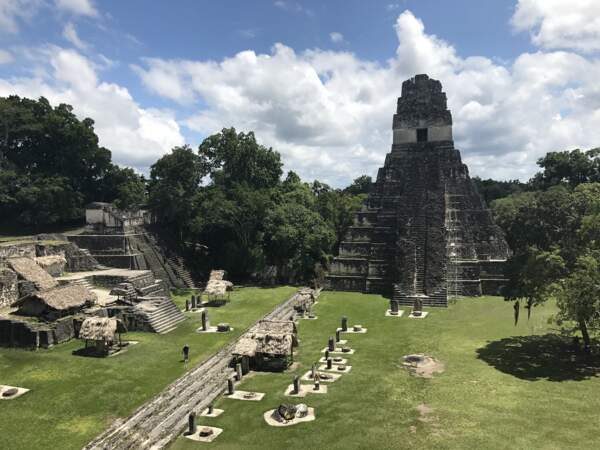 Tikal, la pyramide-tombeau