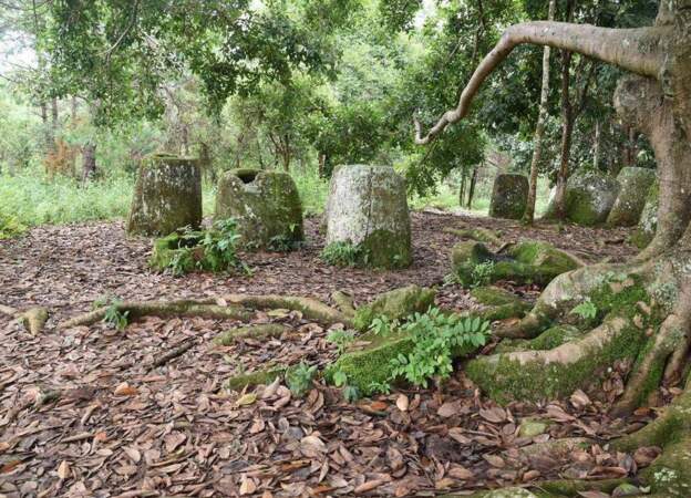 Le site des mystérieuses jarres mégalithiques de Xieng Khouang au Laos