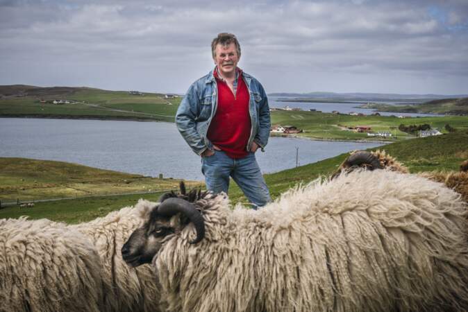 Éleveur de moutons shetlands