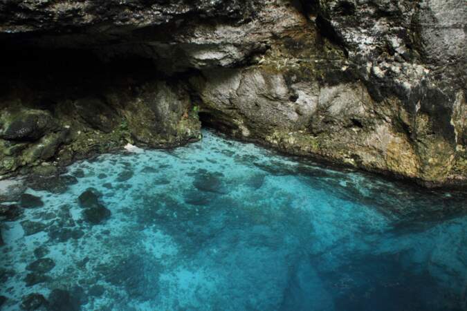 Une plongée rafraîchissante dans le cénote Hoyo Azul