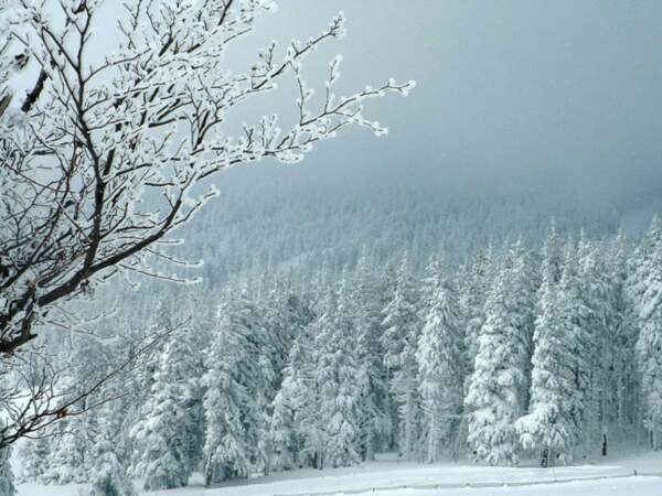 Diaporama n°8 : Balade hivernale dans le Massif du Mézenc 