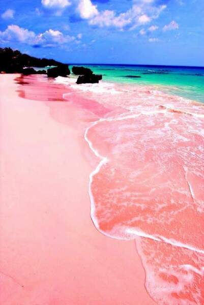 Les sables roses des Bahamas 