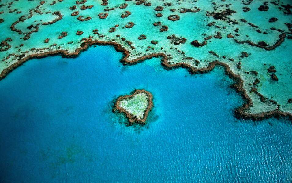 Heart Reef, récif en forme de coeur dans les îles Whitsunday