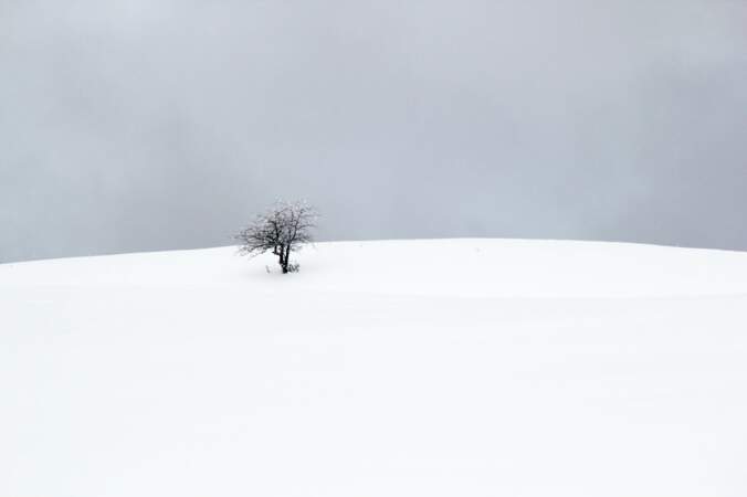 Plateau de l'Aubrac (Lozère) - 2ème prix de l'édition "La nature en hiver"