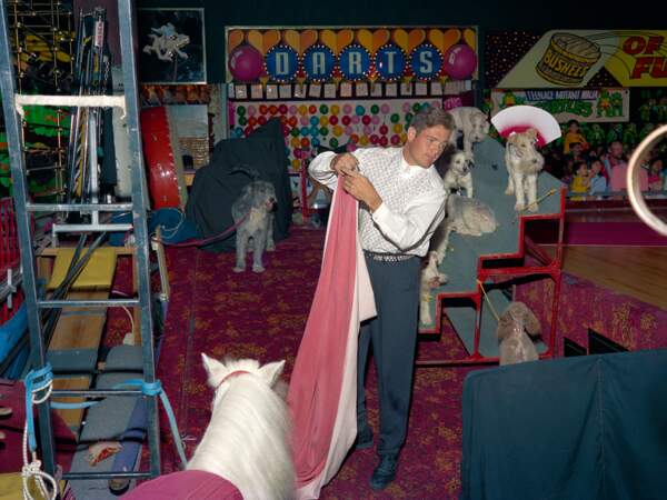 Chiens et numéro de poneys, Reno, 1991
