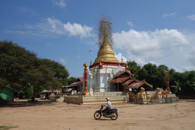 Angkor birman