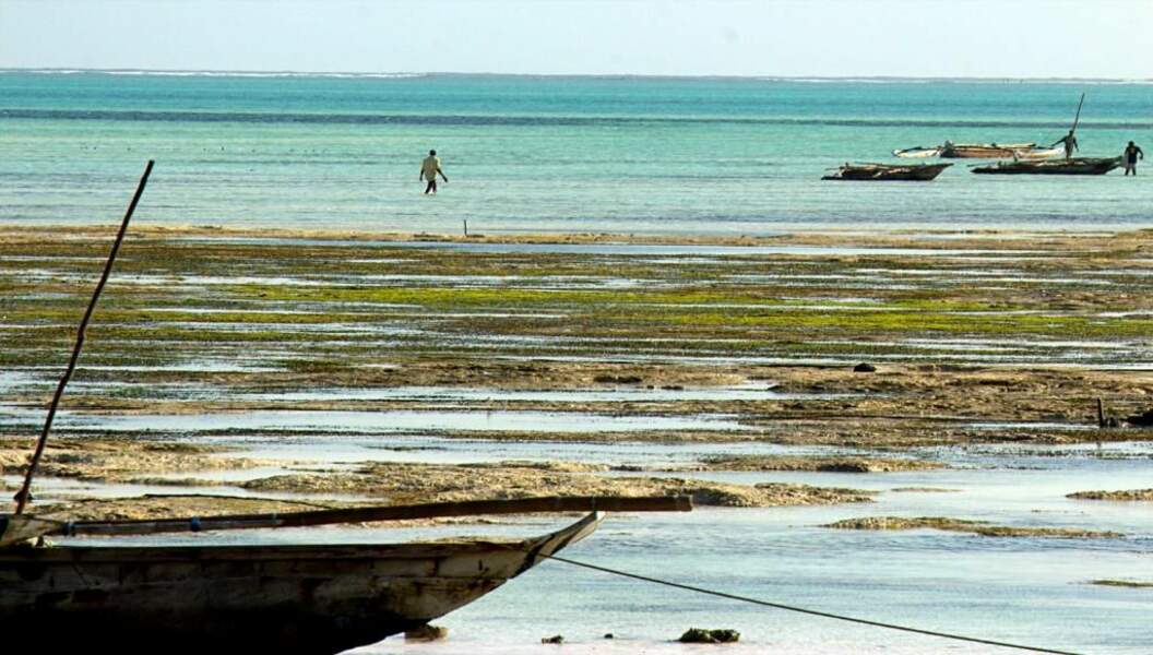 Photo prise à Zanzibar, par masoa