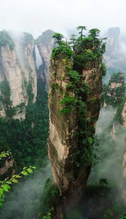 Les monts de Zhangjiajie, en Chine