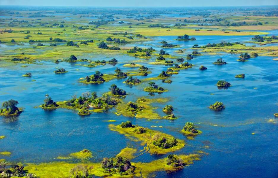 Le delta de l'Okavango