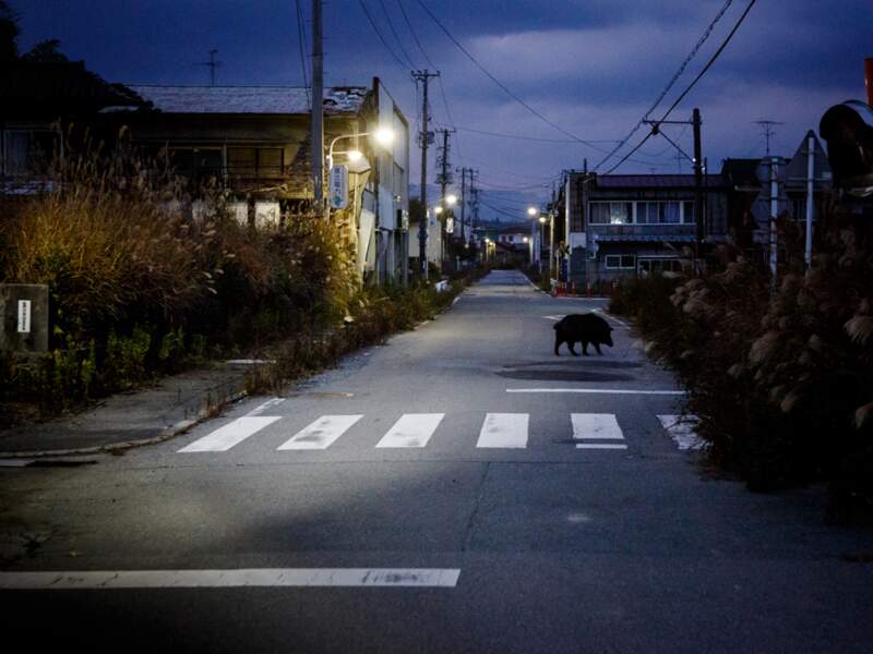 À Tomioka, les lampadaires projettent le spectacle de rues aux habitations fracassées