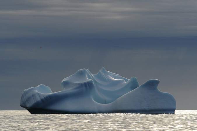 Iceberg au large - Arctique