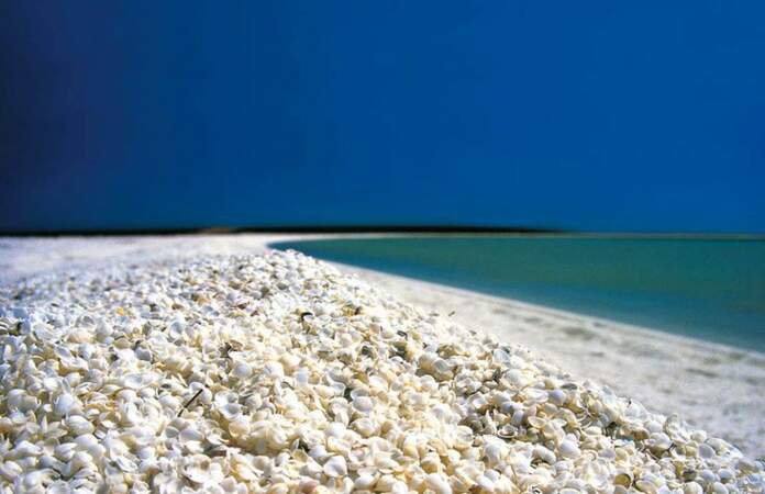 Shell Beach, en Australie