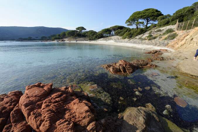 Bonus - la Plage de Palombaggia, Corse, élue plus belle plage française
