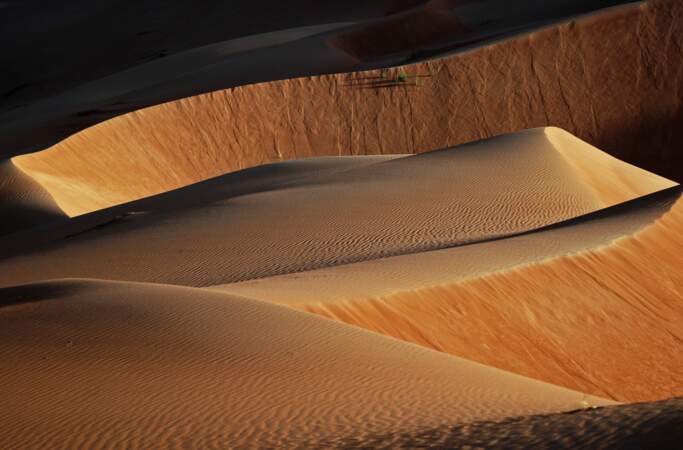 Photo prise dans le désert de Rub al Khali par Jean Zucchet