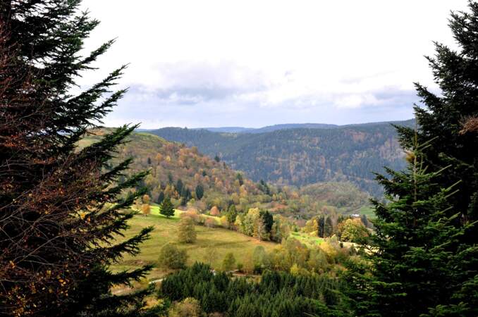 Le Parc naturel régional des Vosges du Nord