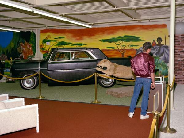 Homme, lion et voiture, Las Vegas, 1988