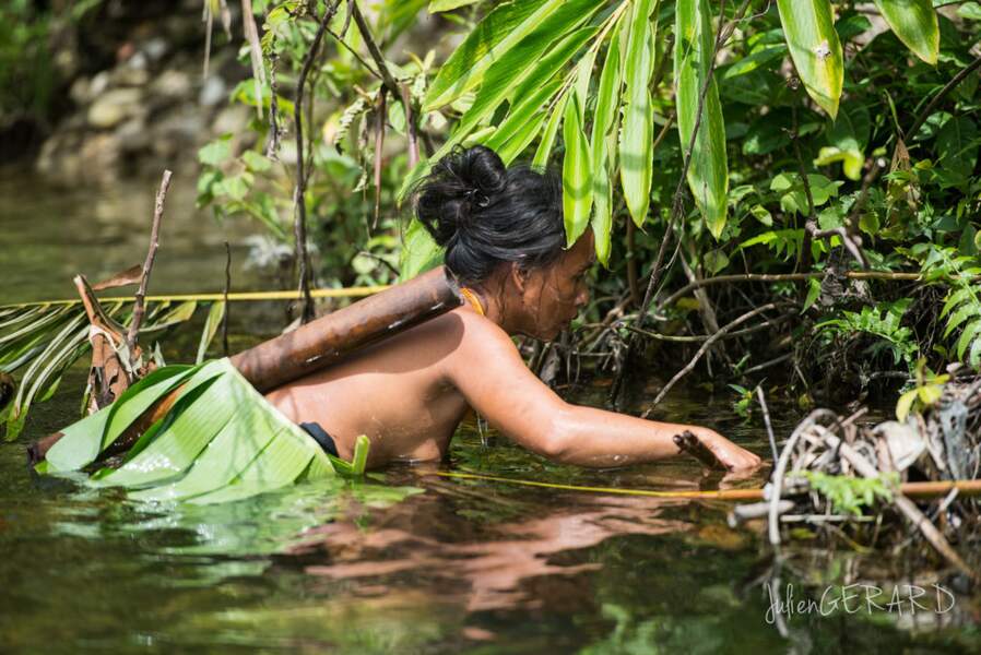 Indonésie - Mentawai, immersion chez les derniers hommes-fleurs