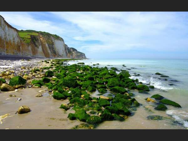 Diaporama n° 14 : Normandie : la côte sauvage du Pays de Caux 