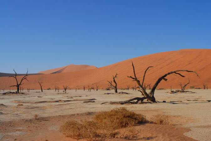 Dead Vlei, en Namibie, par Jean-Paul Bonnafe