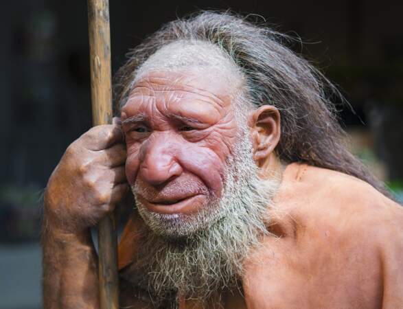 2014 – Des gènes de Neandertal chez nos contemporains