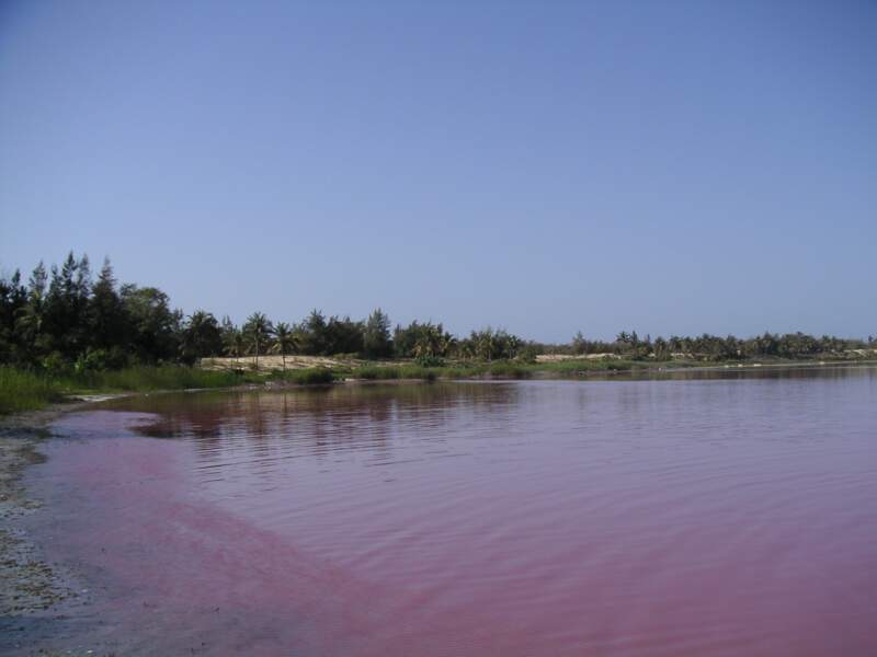 Le Lac rose
