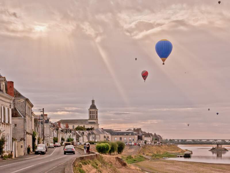 8e prix : Village aux montgolfières par Dominique Brouard (Pays-de-la-Loire) 