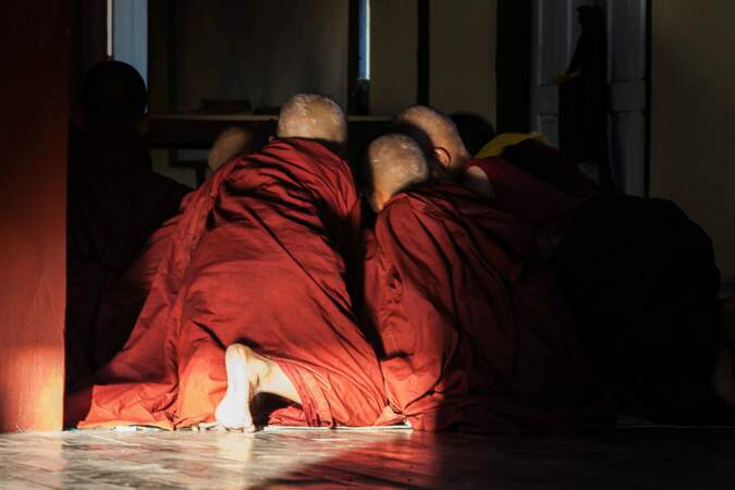 Jeunes moines curieux