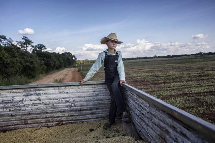 Les Mennonites cultivent du soja dans le Yucatán, au grand dam des apiculteurs mayas – Catégorie "environnement"