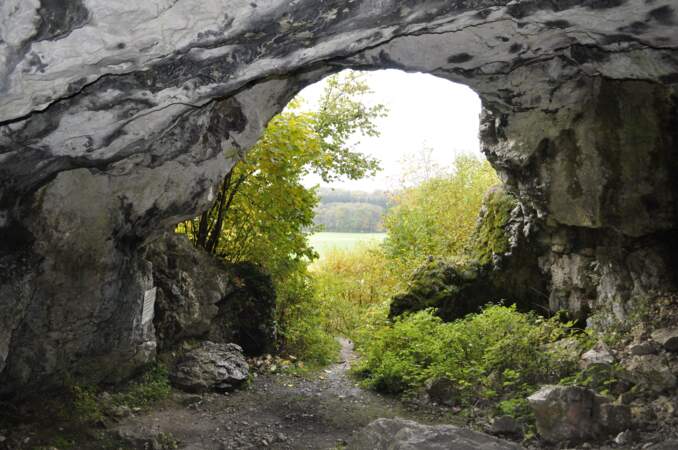 Grottes et l’art de la période glaciaire dans le Jura souabe, en Allemagne