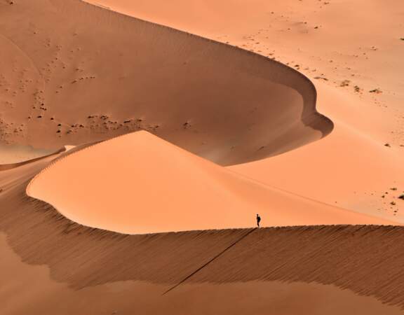 Dunes rouges du désert de Sossusvlei, en Namibie