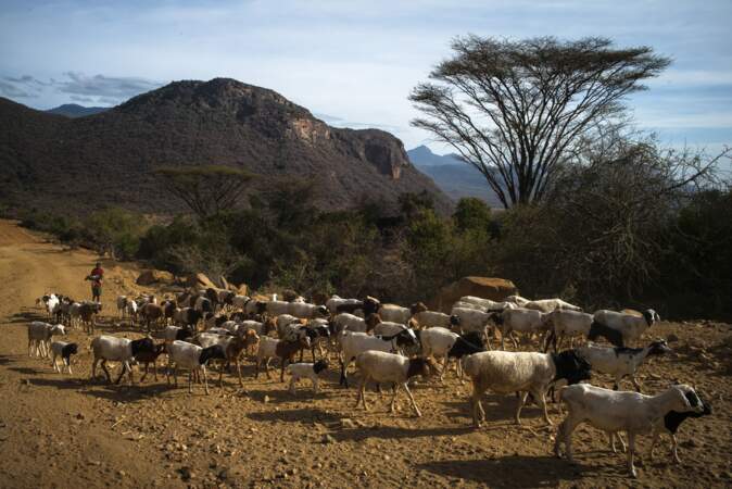 Chez les Samburu
