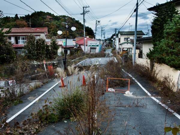 La nature reprend ses droits sur la terre ravagée de Fukushima