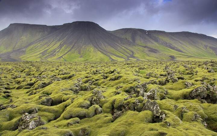 Les champs de lave de Reykjanes 