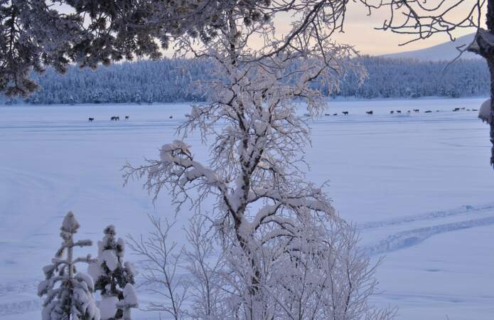 Lac Ounas en Finlande par Pascal Gaudry / Communauté GEO