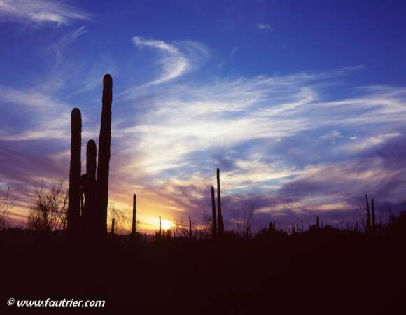 Photo prise dans l'Arizona (Etats-Unis) par fautrier