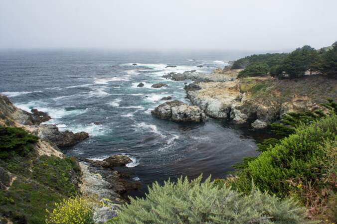 Etats-Unis - Douceur de vivre sur la péninsule de Monterey