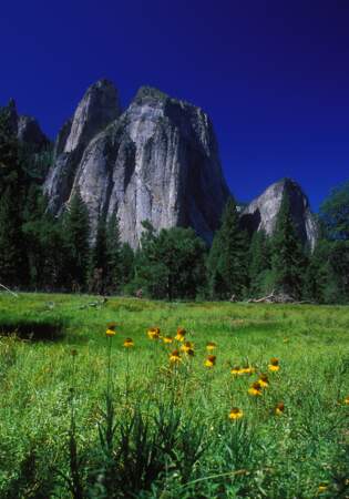 Le parc national de Yosemite, aux Etats-Unis
