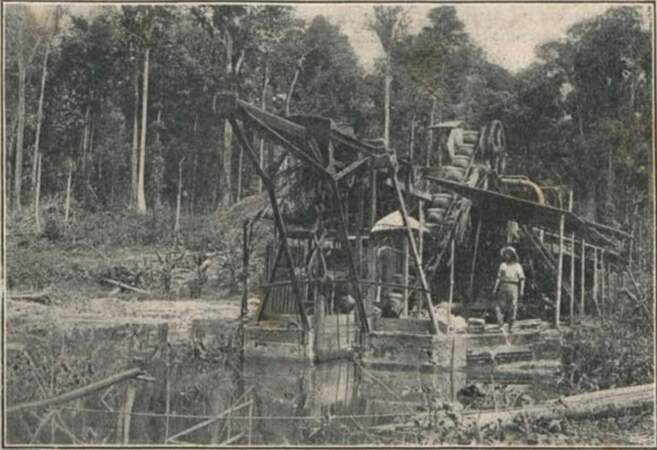 Au XIXe siècle, la Guyane attire des prospecteurs en quête de sensations fortes