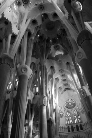 Intérieur de la Sagrada Familia à Barcelone, en Espagne, par lucie38