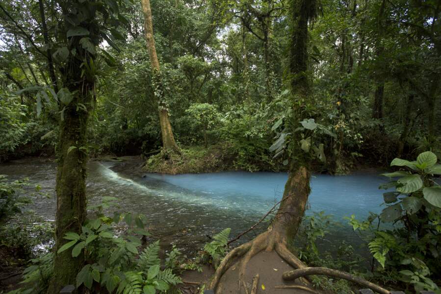 Costa Rica : Les eaux turquoise du rio Celeste, dans le parc du volcan Tenorio