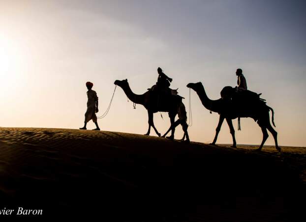 Crépuscule sur les dunes du Rajasthan, en Inde